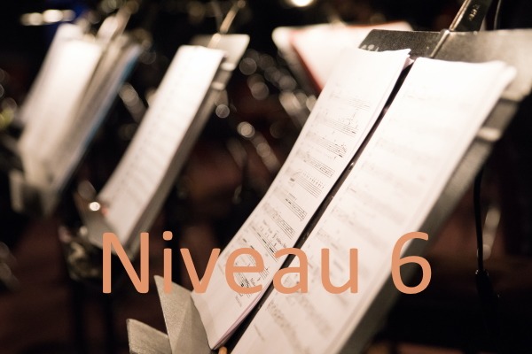 Lire la suite à propos de l’article Protégé : Cours de Solfège Enfant – Niveau 6