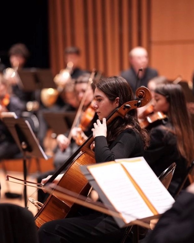 Professeur de violoncelle