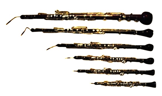 Projection et analyse d'un extrait de 'Pierre et le Loup' avec identification des instruments