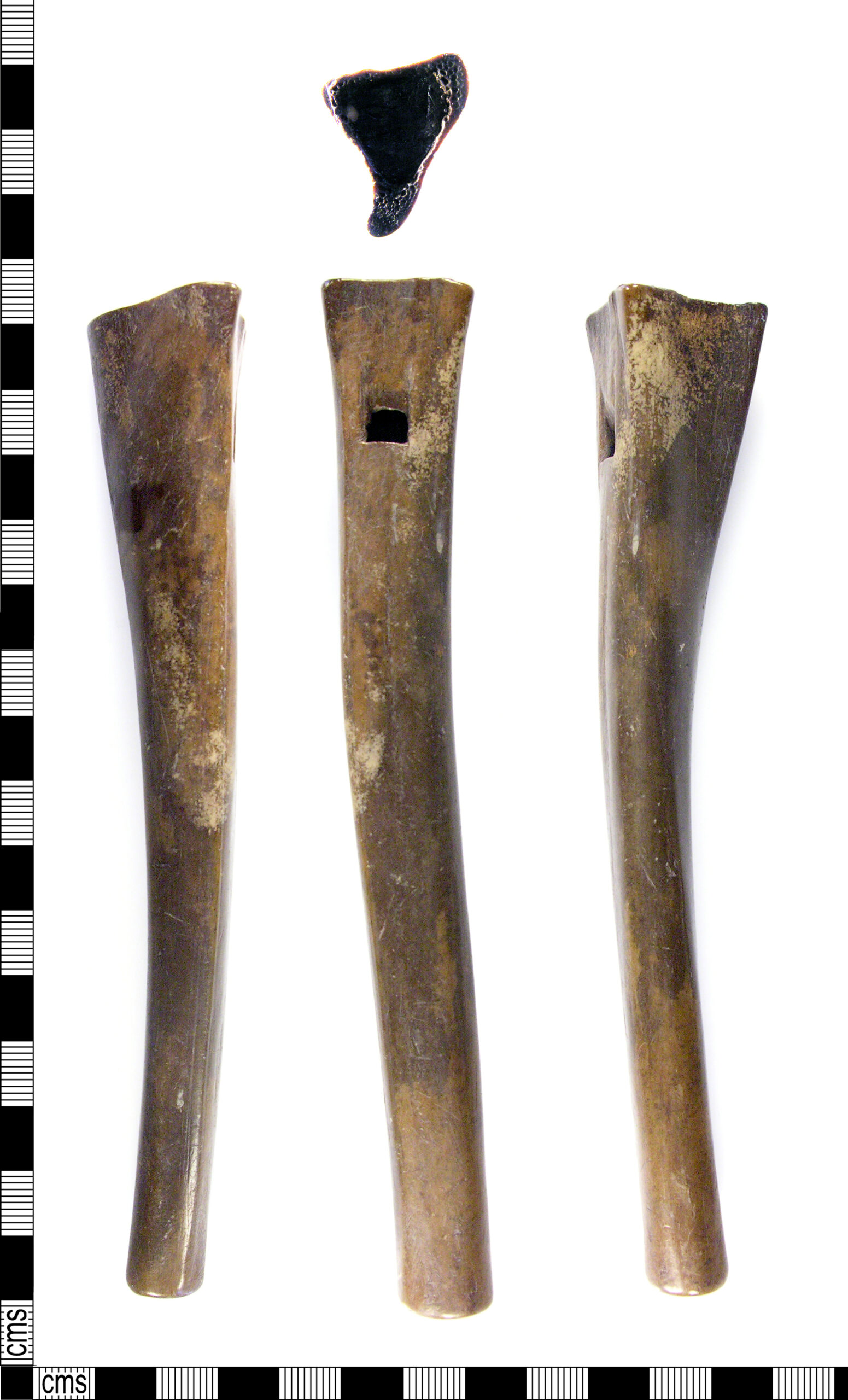 La physique des instruments à vent en bois